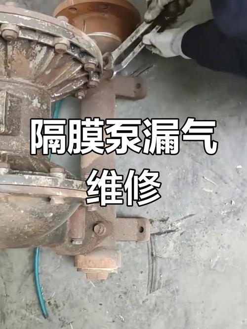 工业喷涂车间气动双隔膜泵渗漏故障现场