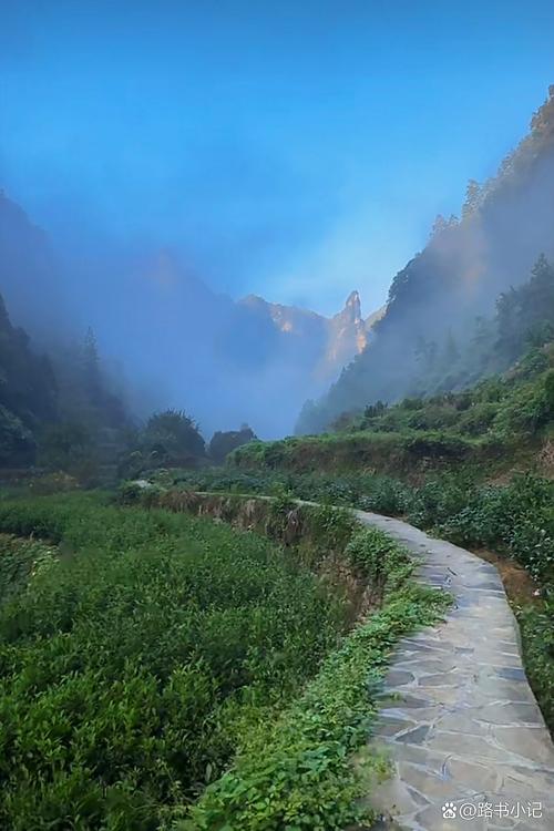 湖北南漳幸家坪村山间晨雾石板路