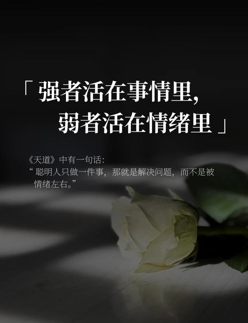 四、一个被我忽略很久的“弱者优势”
