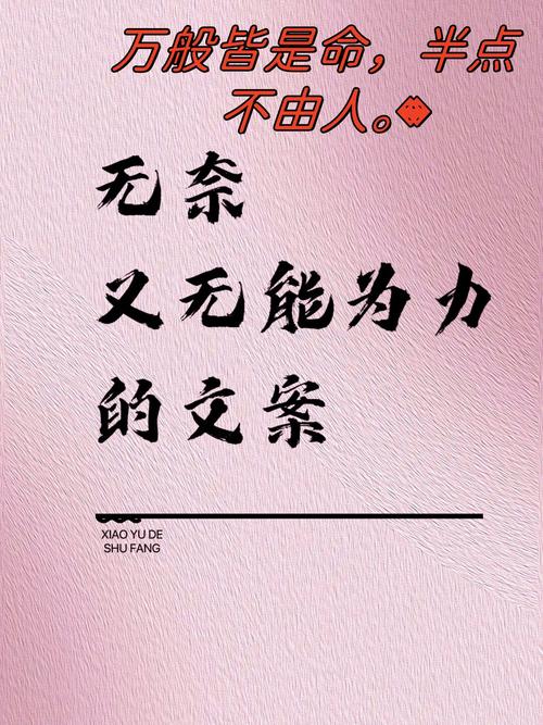 它不是万能的，但能救半条命
