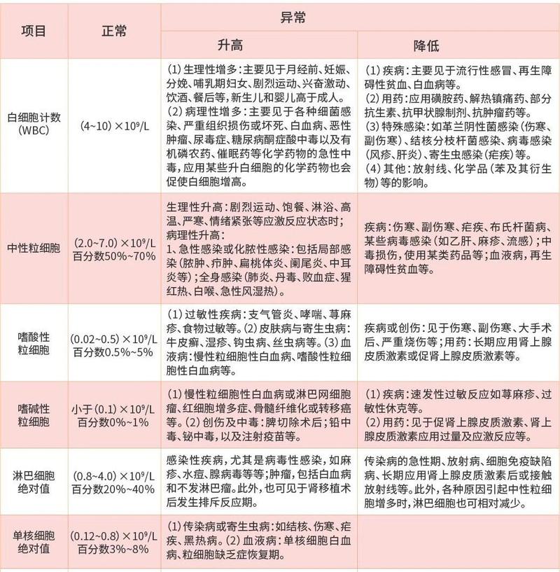 4. 体检后：报告解读和健康档案