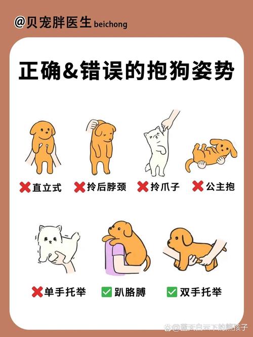 宠物主人错误安抚受惊宠物示范图