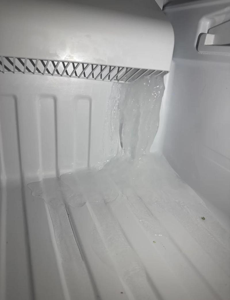 冻在冰箱冷冻层的半袋干净乡村白雪