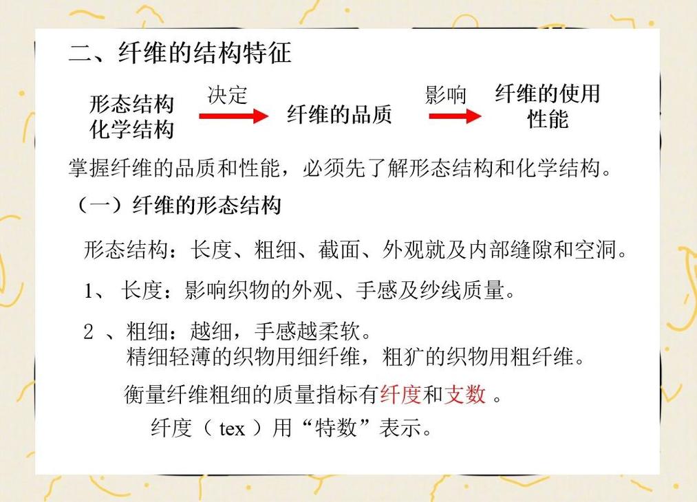 几种常见内衣面料纤维显微结构对比图