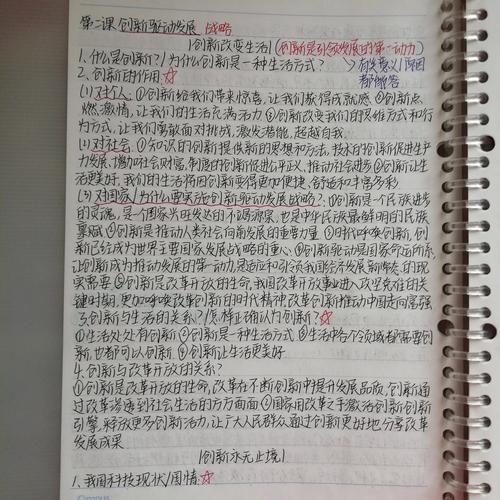 家庭债务纠纷法律咨询手写笔记