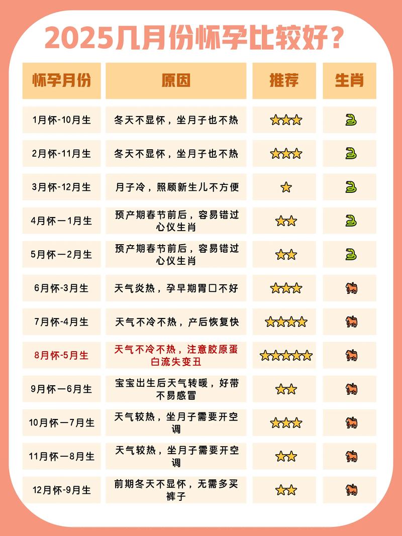 备孕期夫妻共同准备清单与日历
