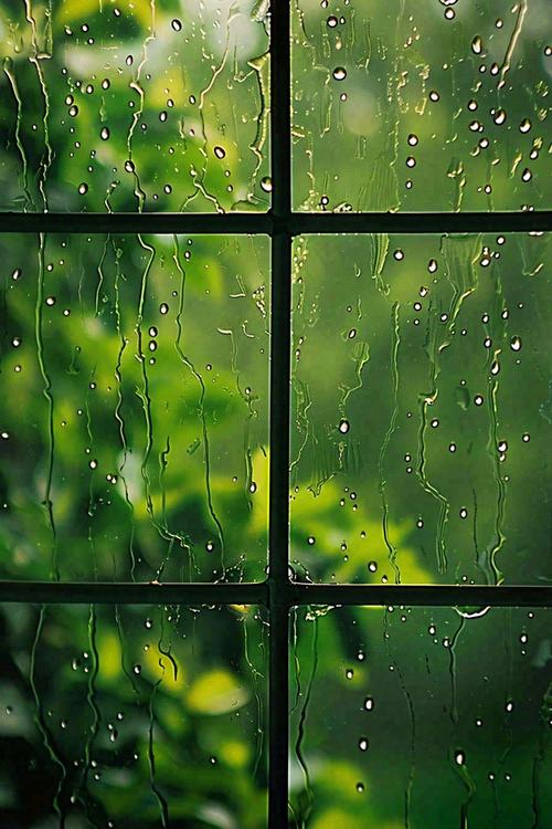 雨滴打在玻璃窗上的特写，窗外绿色植物朦胧