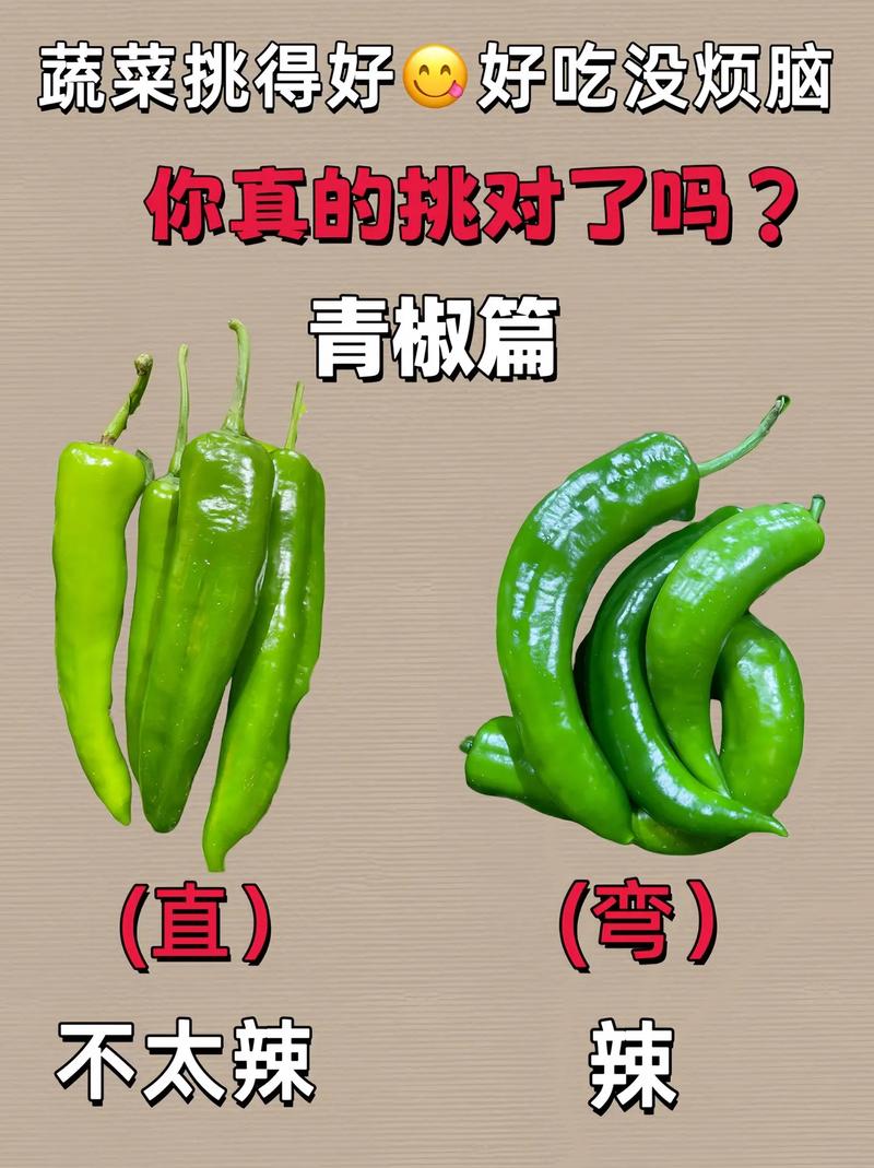 好了,那到底怎么挑?
