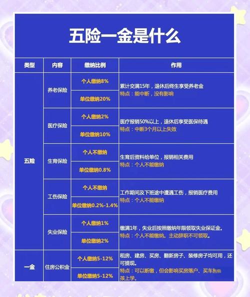 中国社会保险五险一金缴纳比例对比图
