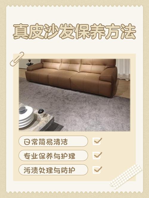 皮质沙发保养清洁步骤示意图