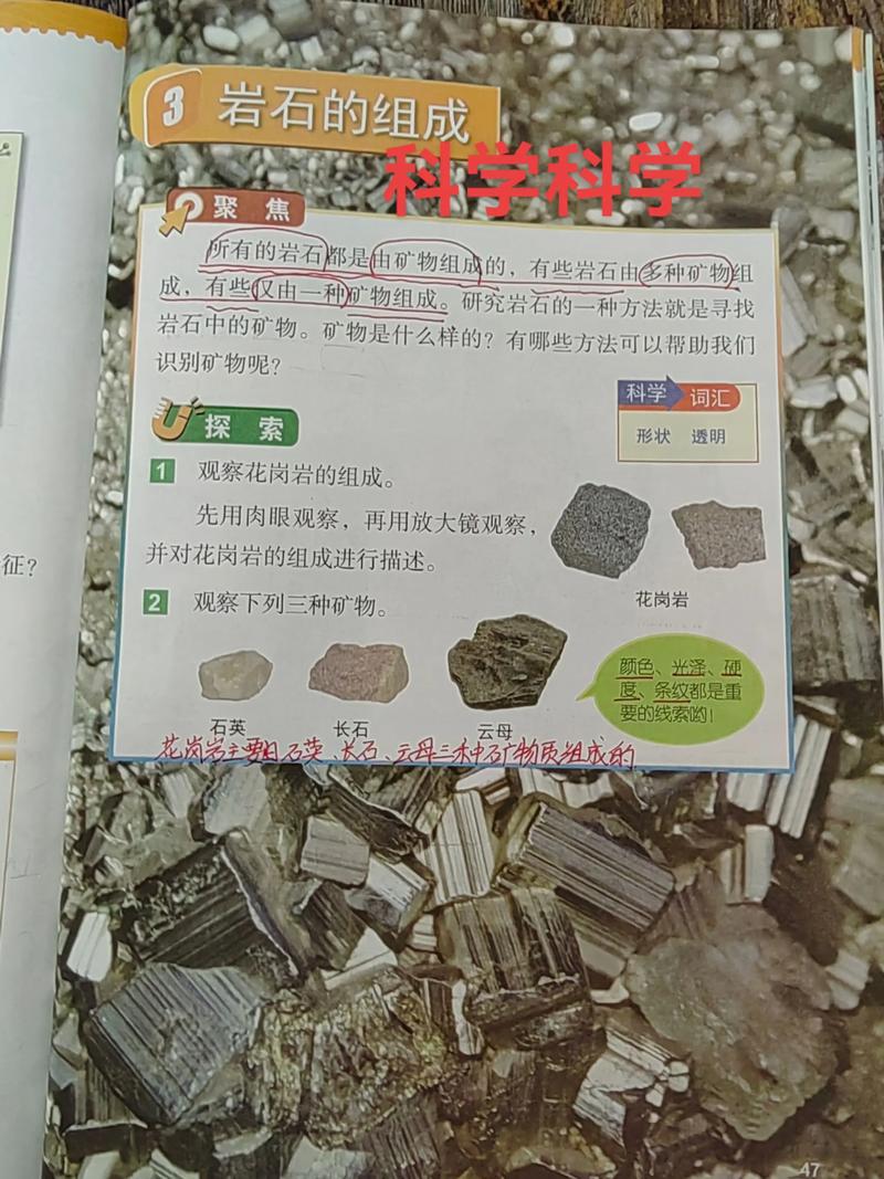 问：那块地全是废铁和石块，孩子能学什么？