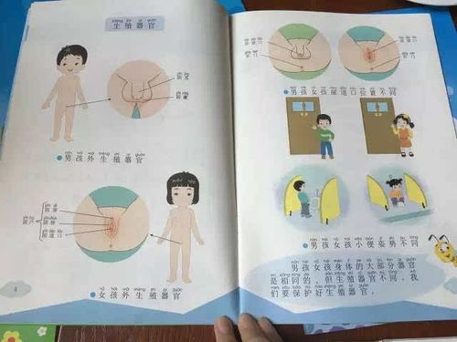 小学生性教育课上使用人体模型教学