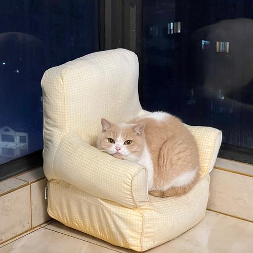 铲屎官瘫在沙发和猫一起发呆的居家场景