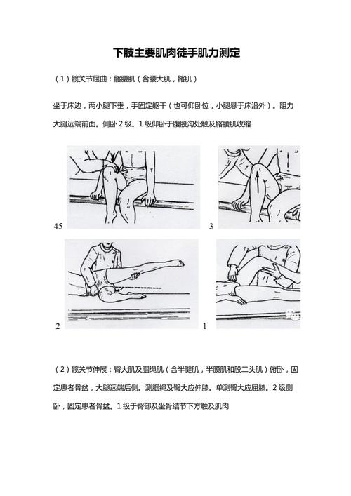 肌肉力量偏低的日常抗阻训练入门:普通人无器械也能练-仁者医