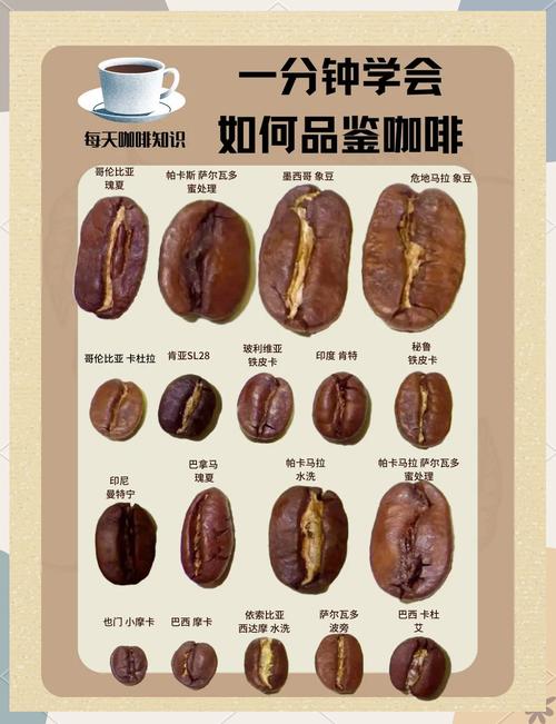 想练咖啡品鉴，根本不用砸钱