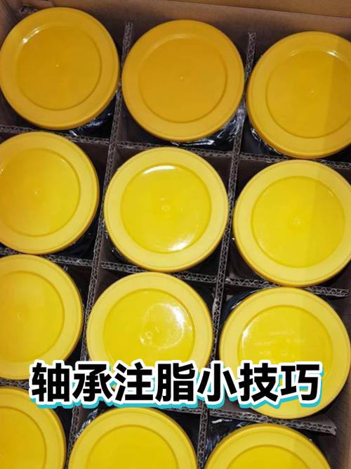 食品包装线不锈钢轴承人工注脂作业图