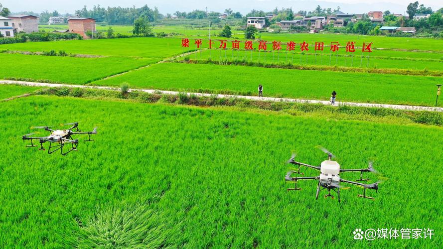 大田水稻植保无人机变量喷洒作业