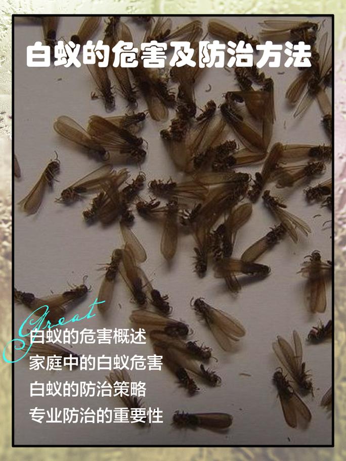 白蚁相关常见法律纠纷适配参考