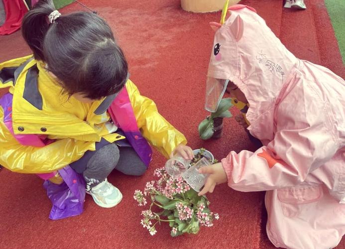 幼儿园孩子在雨中观察植物