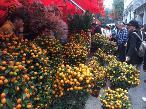 广州西湖路迎春花市街头金桔摊