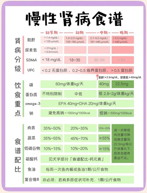 老年宠物慢性肾衰饮食禁忌科普示意图