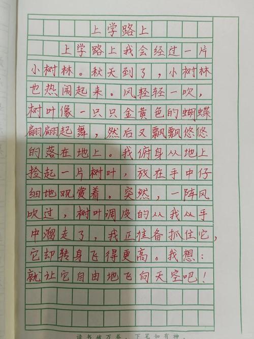 小学生作文本手写径流段落实拍