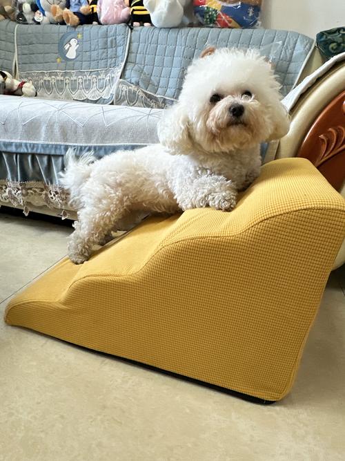 主人给腊肠犬布置的沙发防滑小台阶实拍