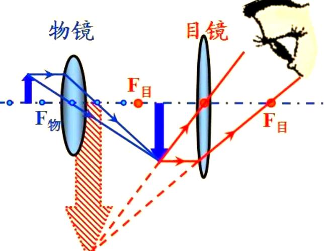 望远镜选购指南：别被参数忽悠了，这些坑我替你踩过-因为所以