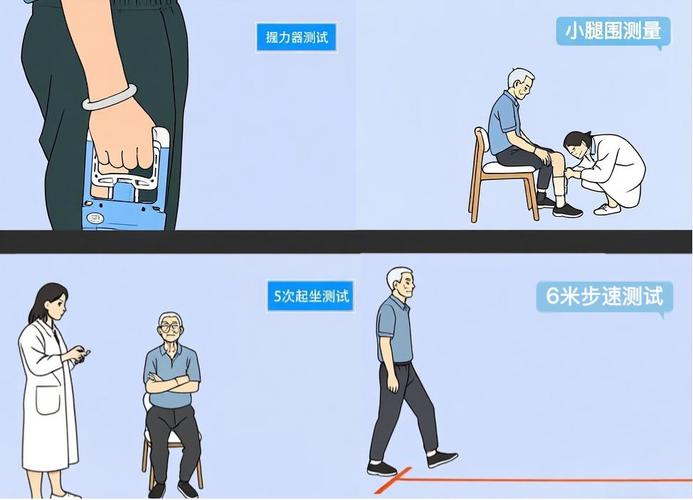 老年肌少症居家自我筛查示意图