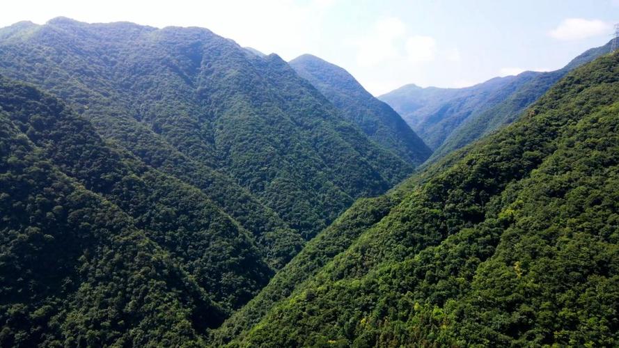 湖北南漳衡山原生夏日山林景观