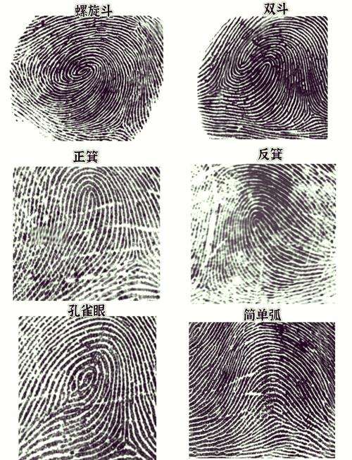 普通人选纹理，就按这个方法判断