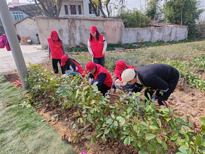 中学生志愿者在社区花园进行种植活动