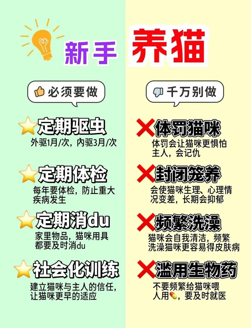 读懂猫咪信号，少踩好多养猫的坑