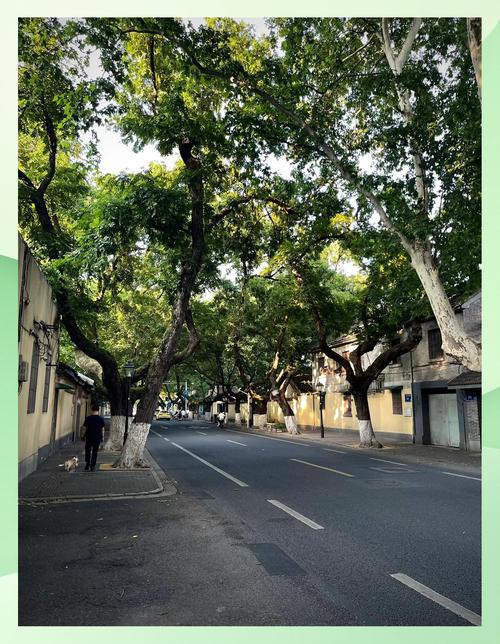 南京颐和路城市更新历史街区景观