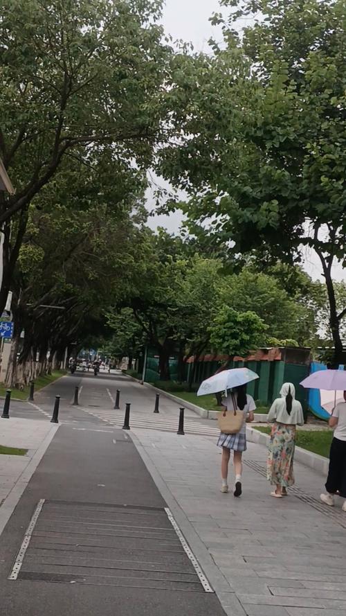 阴天城市公园慢步行走人群实拍