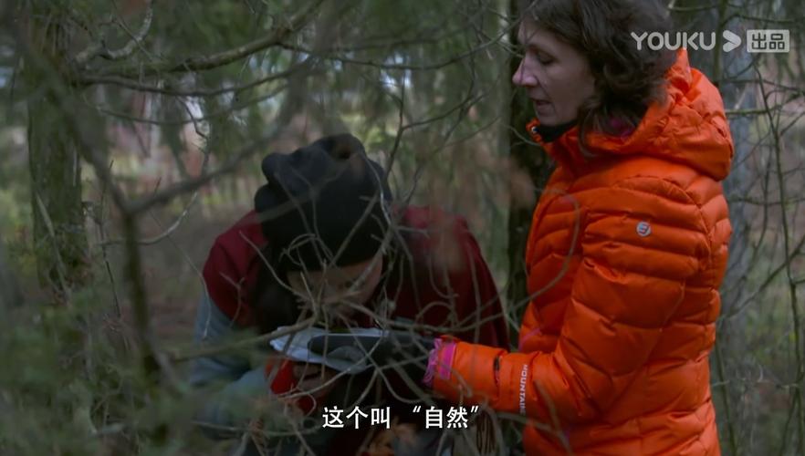 他乡的童年芬兰森林课堂