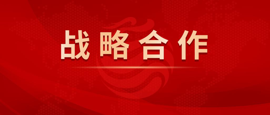 战略伙伴关系不是普通合作，是把后背交出去