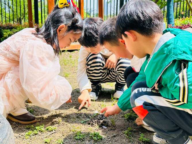 小区楼下儿童花园亲子挖蚯蚓场景