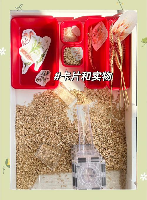 家用大米感官盆宝宝伸手掏玩具实拍