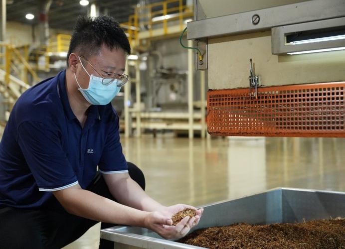 烟丝水泡制过程 绿植防虫
