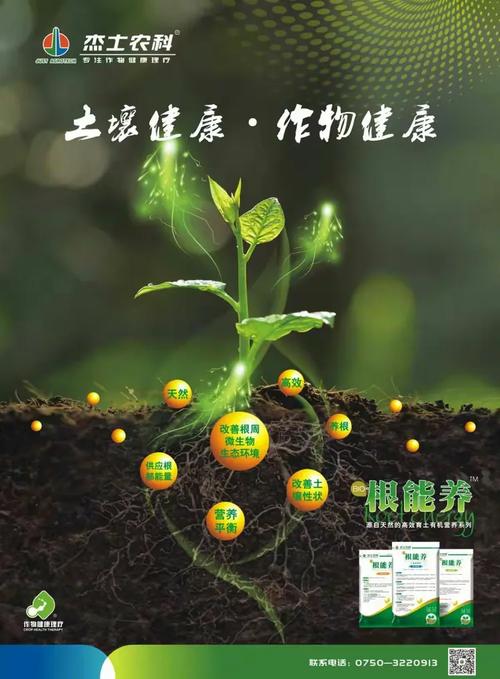 第一个可落地的优化：自然拓展相关内容，别堆核心词