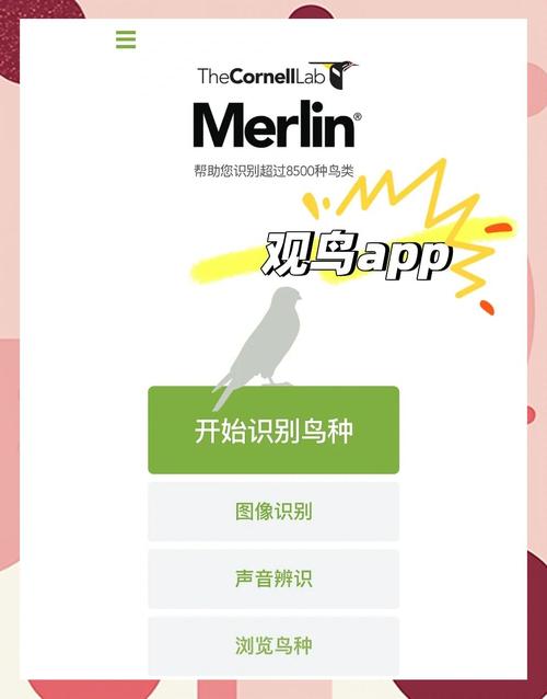公民科学手机端鸟类识别APP界面