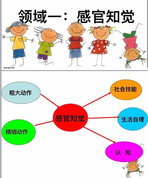 儿童教育心理学 感官信息处理流程示意图