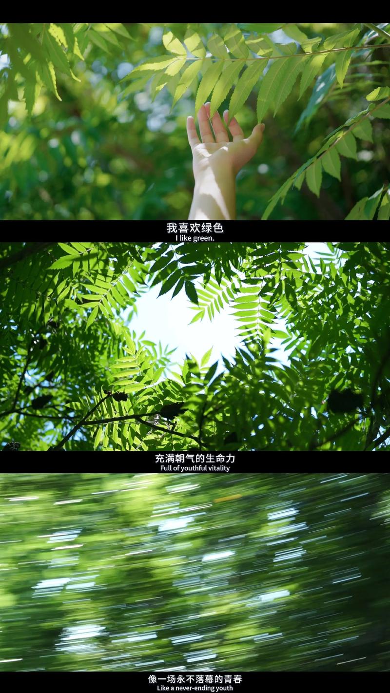 嫩芽心理学:我们为什么痴迷那一抹新绿