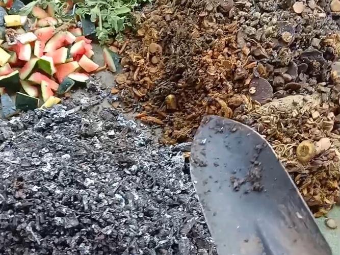 阳台旧泡沫箱厨余堆肥实景图