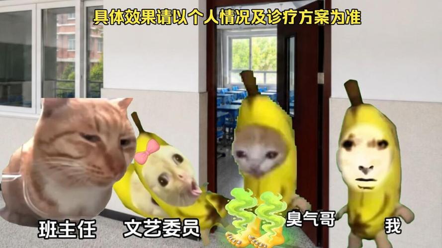 一只生病，全窝警惕，别等传染才慌