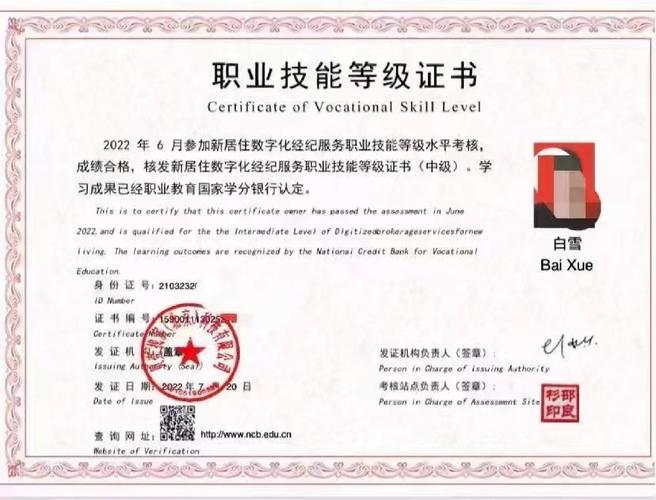 1+X证书大数据运维技能等级标准