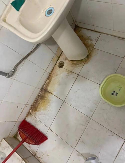 卫生间的水垢和霉斑,才是真让人炸毛