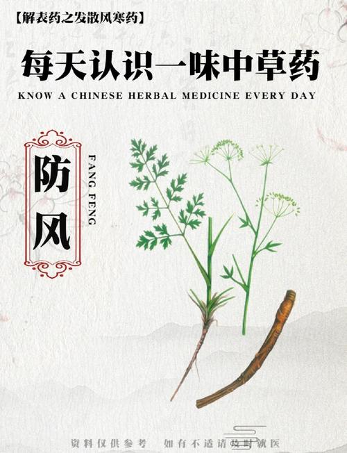 🌿 环保与安全,别被吓唬也别忽视
