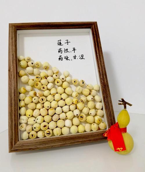🌿 可持续装饰,省钱又个性